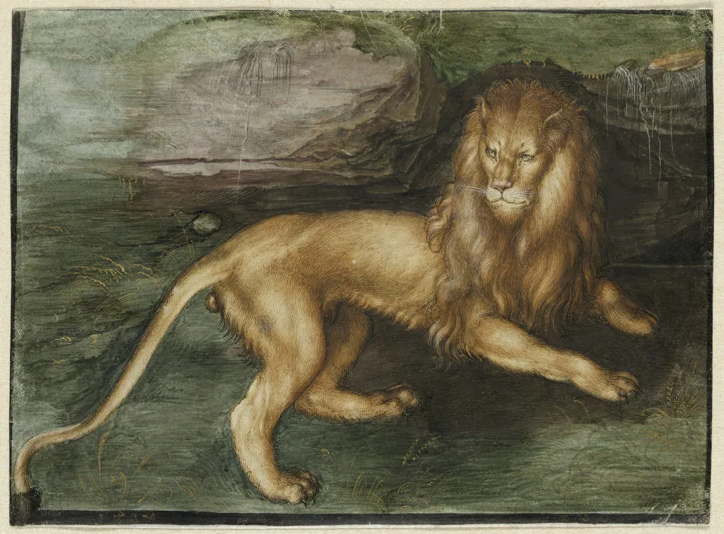 León de Venecia, de Alberto Durero