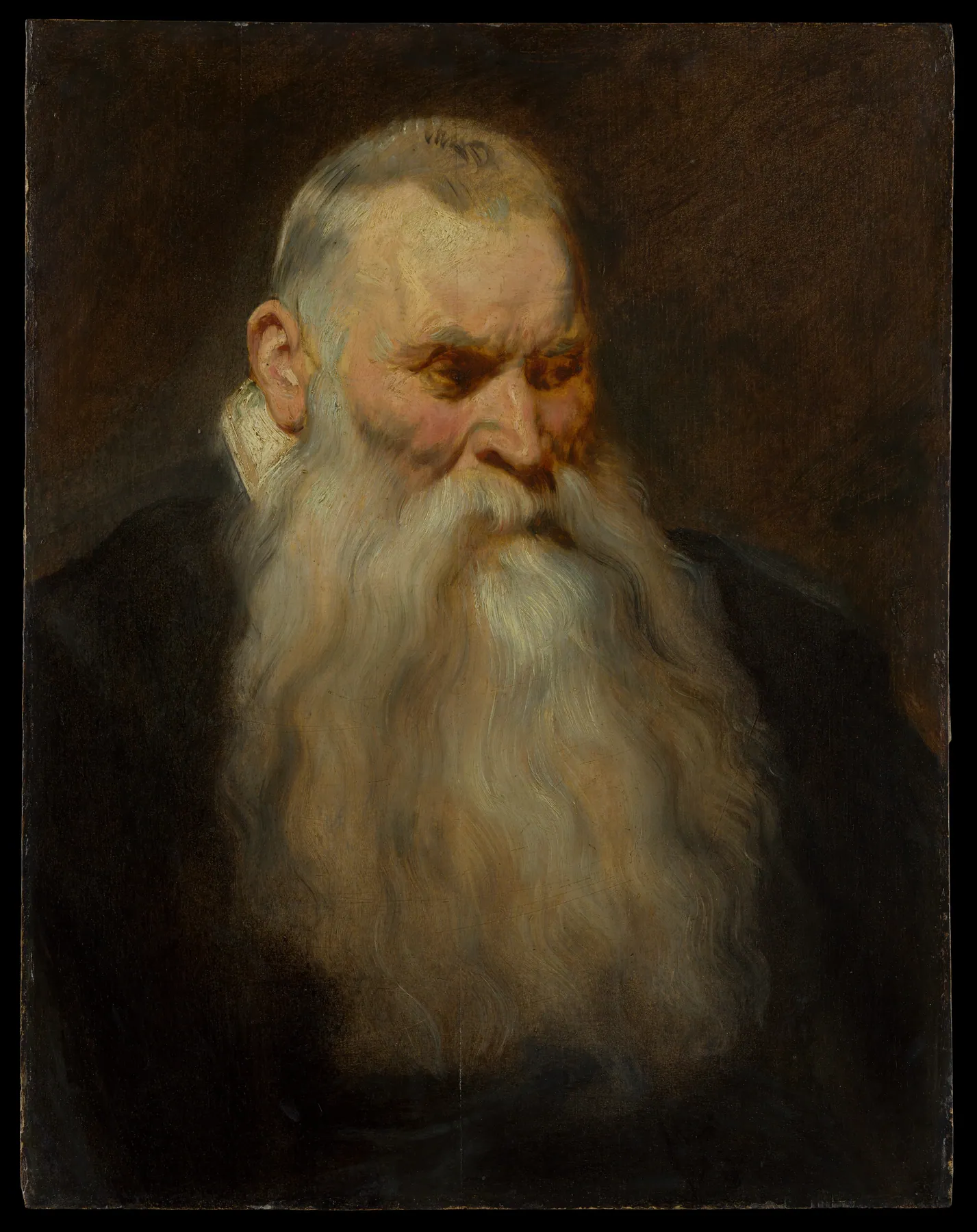 Estudio de cabeza de un anciano de barba blanca, de Anthony van Dyck