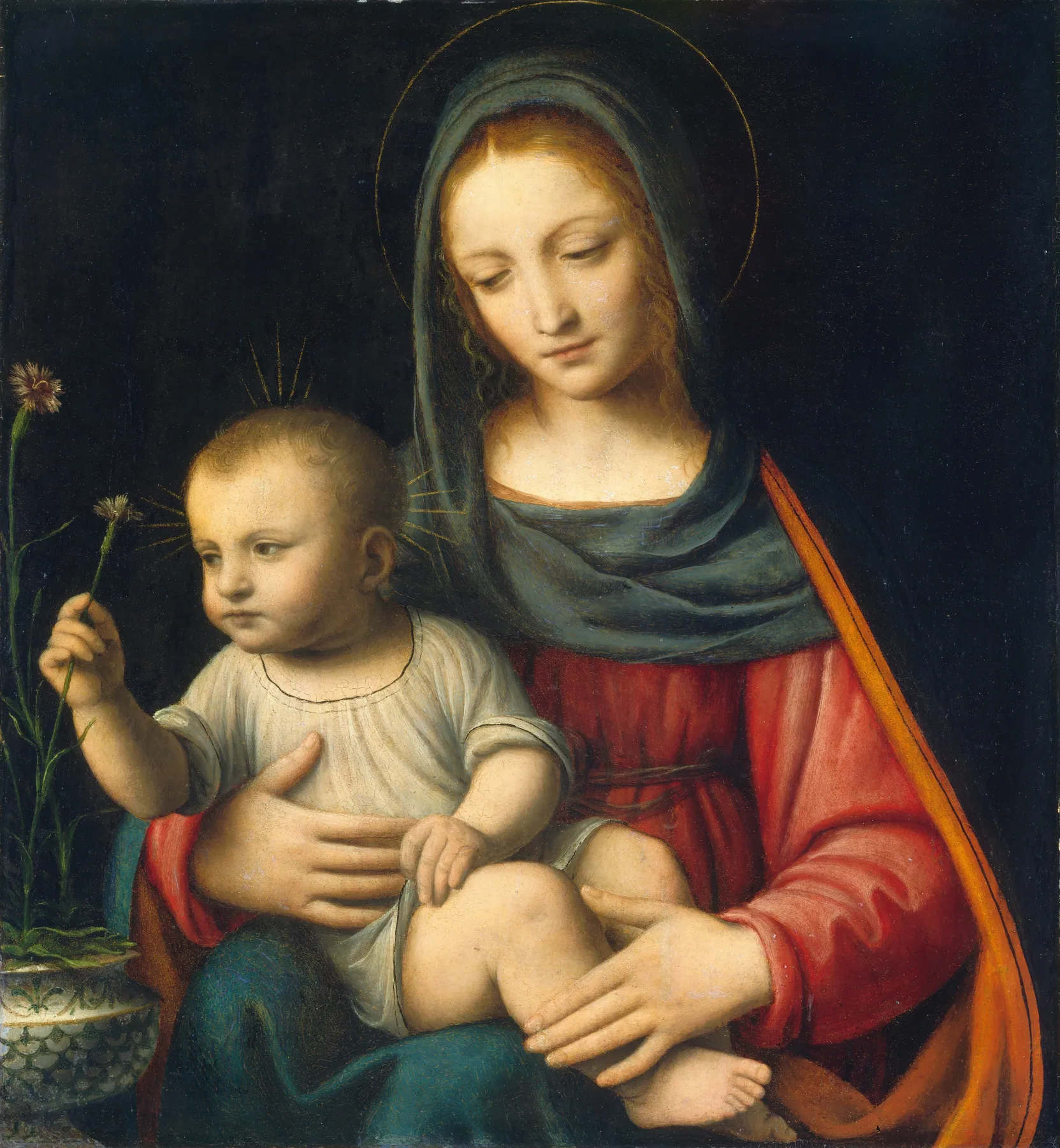 La Virgen del clavel, de Bernardino Luini