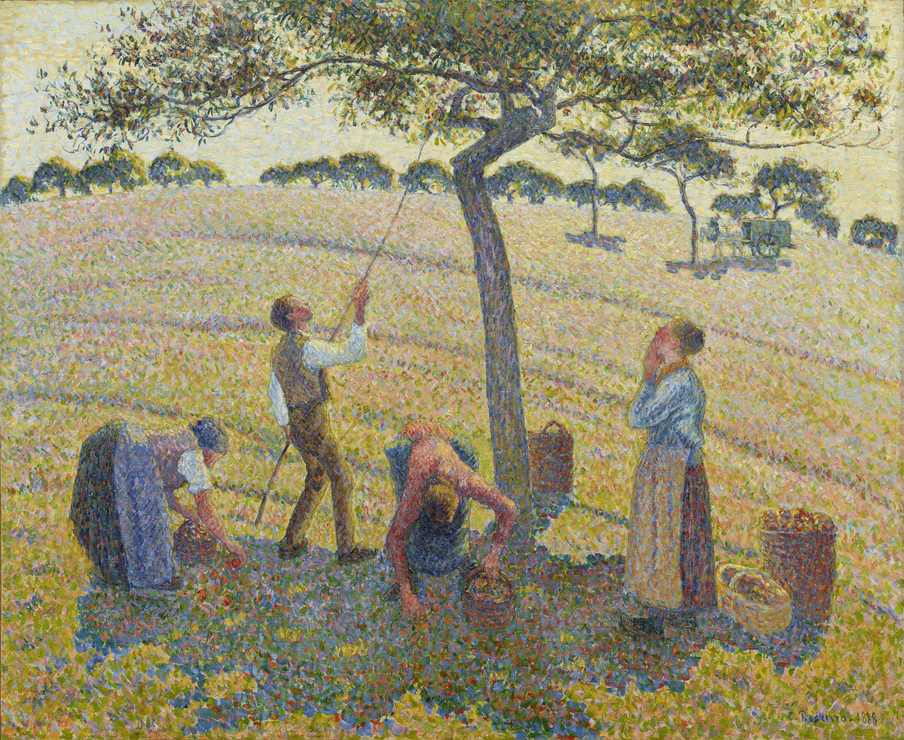 Cosecha de manzanas, de Camille Pissarro