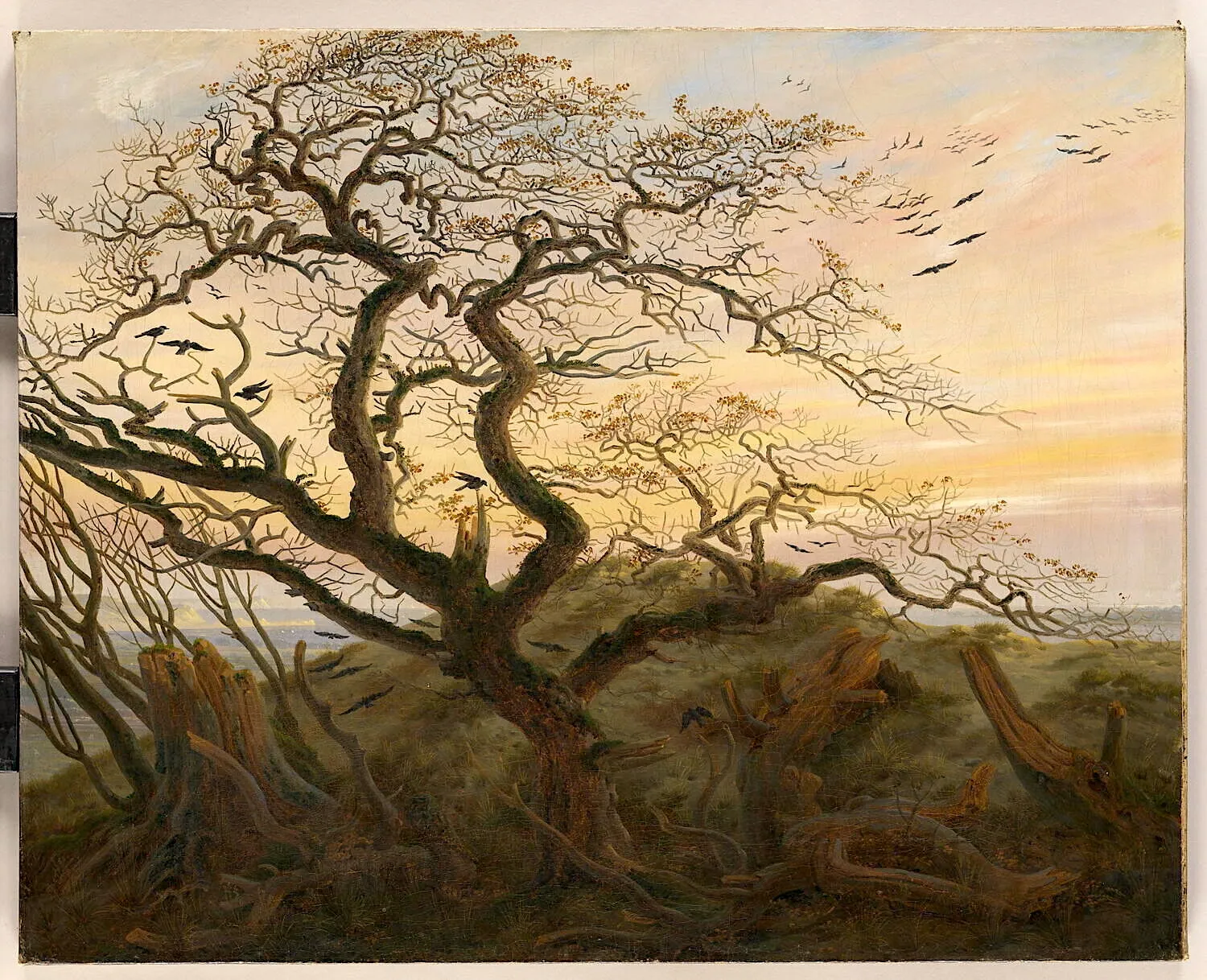 El árbol de los cuervos, de Caspar David Friedrich