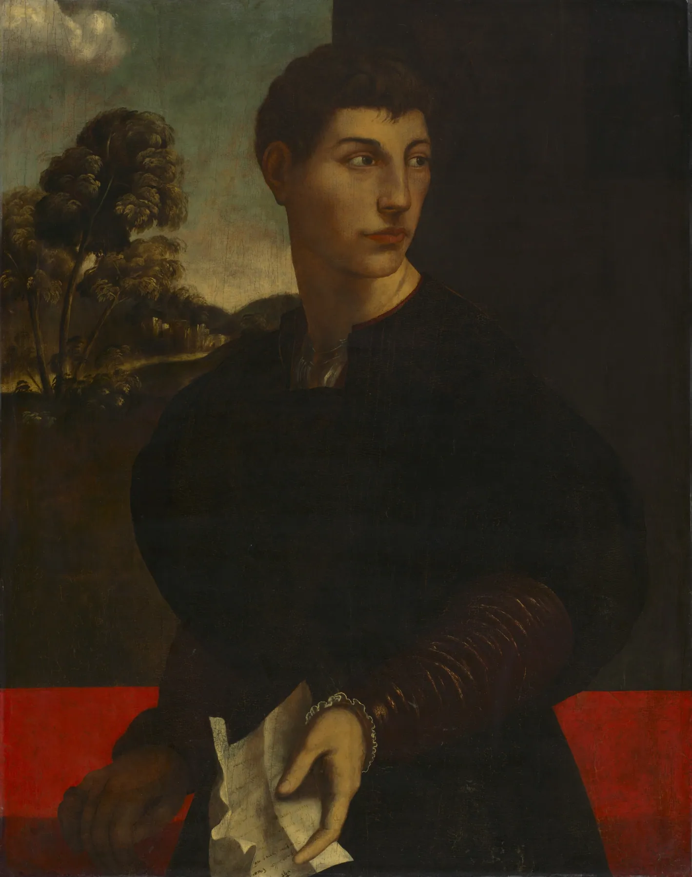 Retrato de un joven, de Dosso Dossi