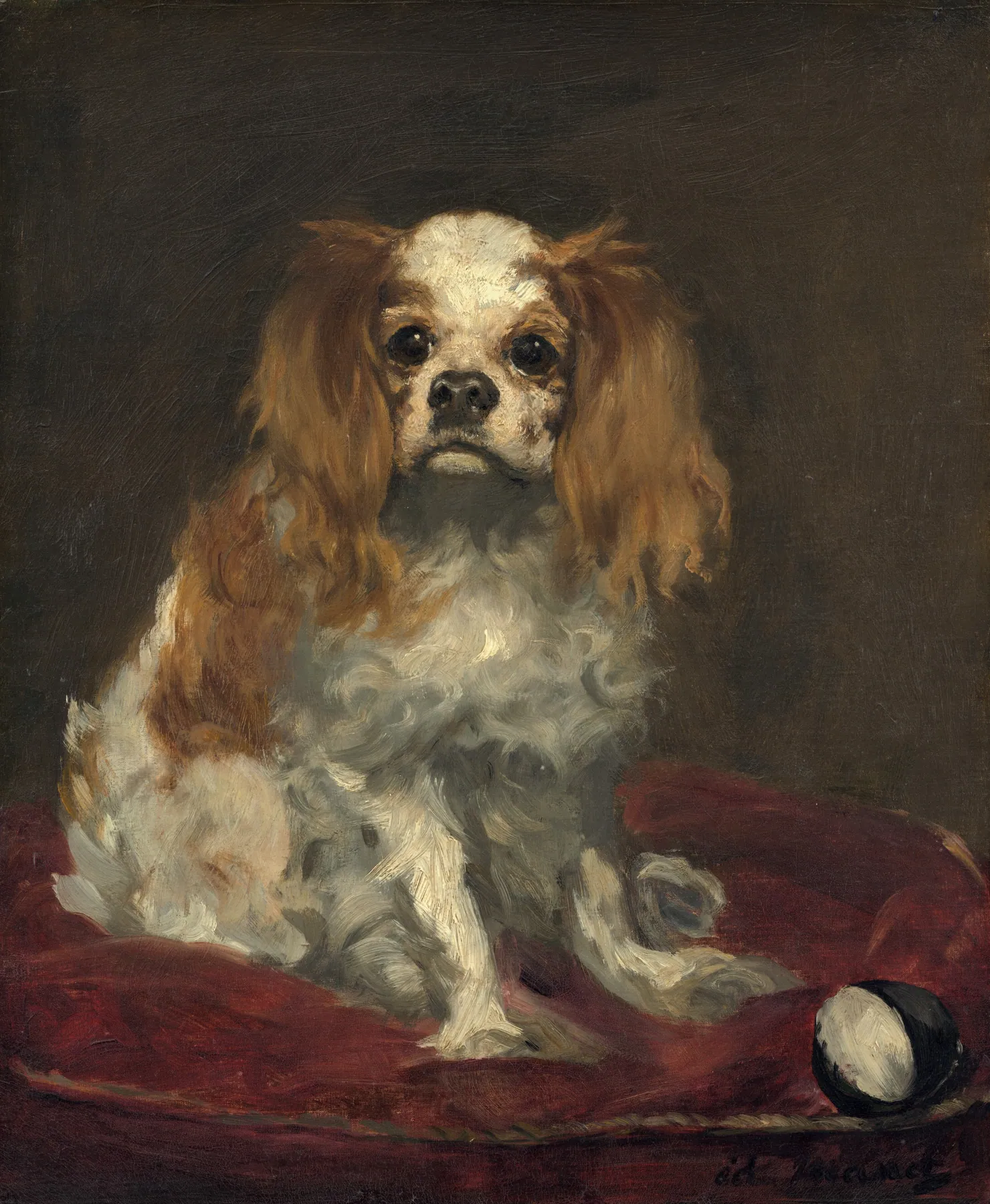 Un King Charles spaniel, de Édouard Manet