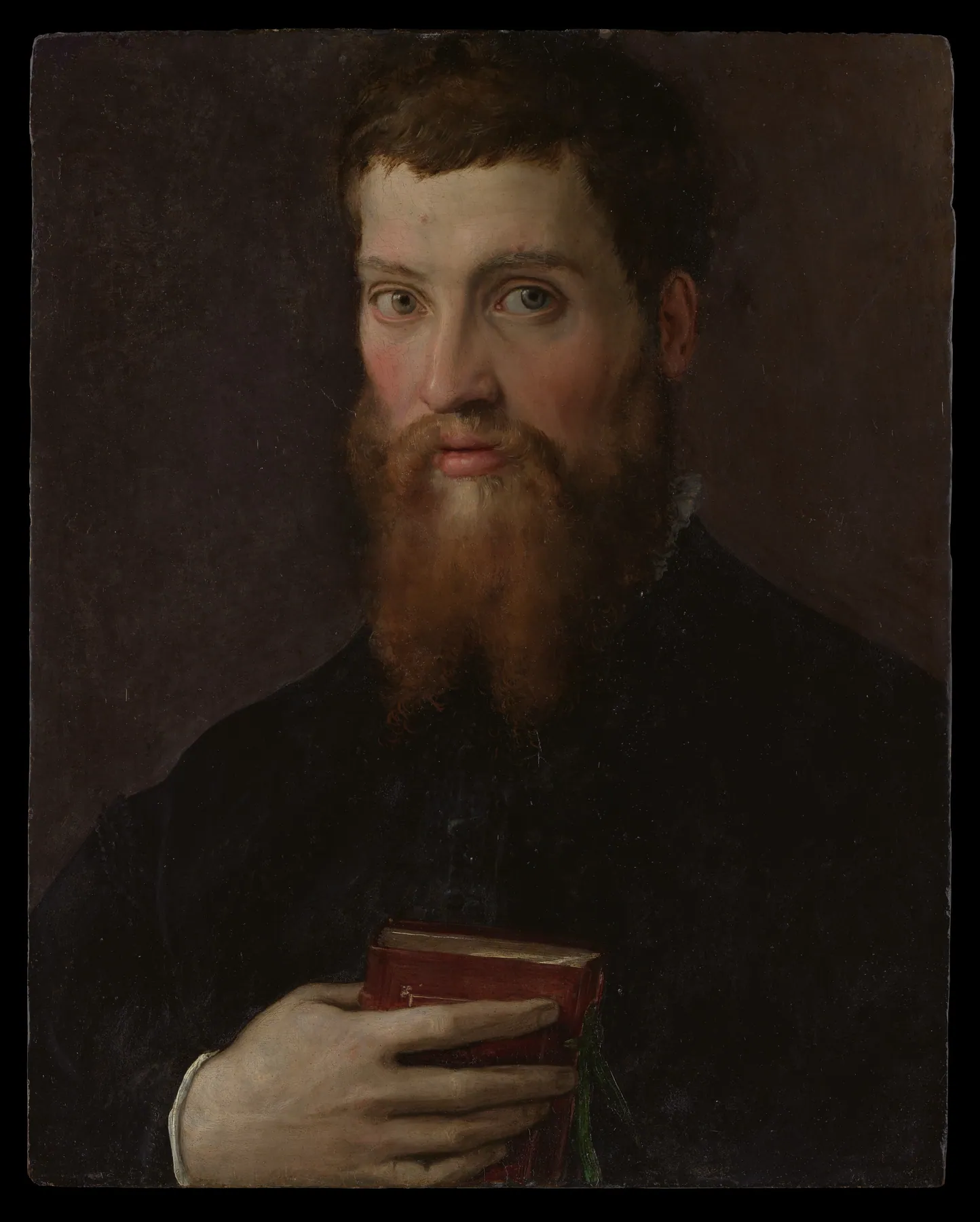 Carlo Rimbotti (1518–1591), de Francesco Salviati