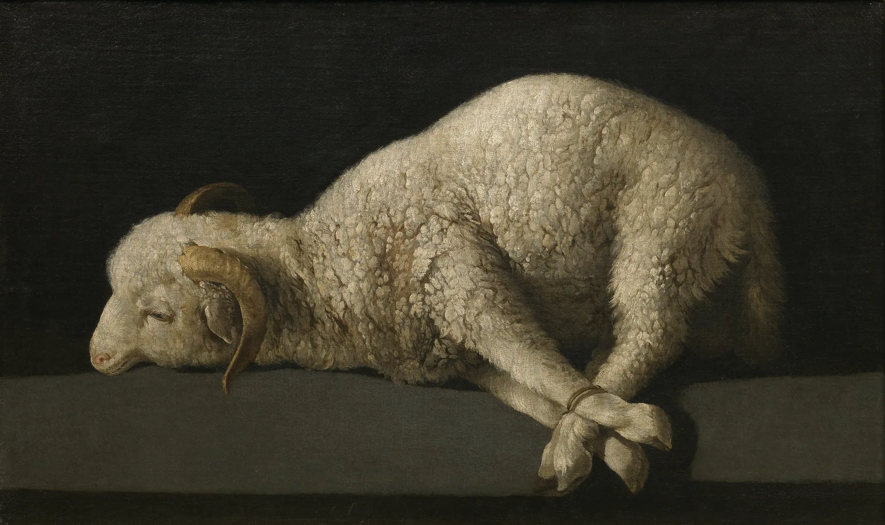 Agnus Dei, de Francisco de Zurbarán
