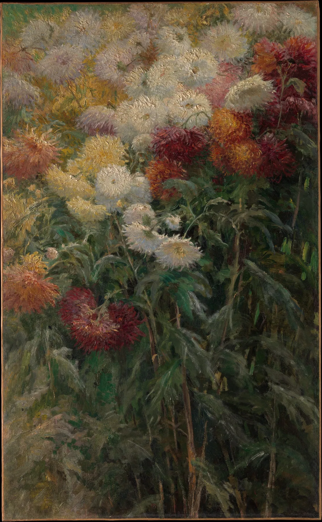 Crisantemos en el jardín de Petit-Gennevilliers, de Gustave Caillebotte