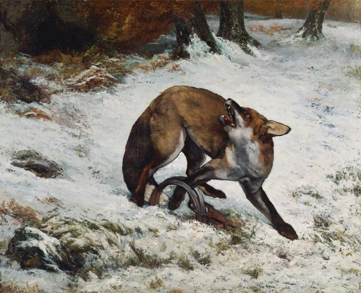 Zorro atrapado, de Gustave Courbet