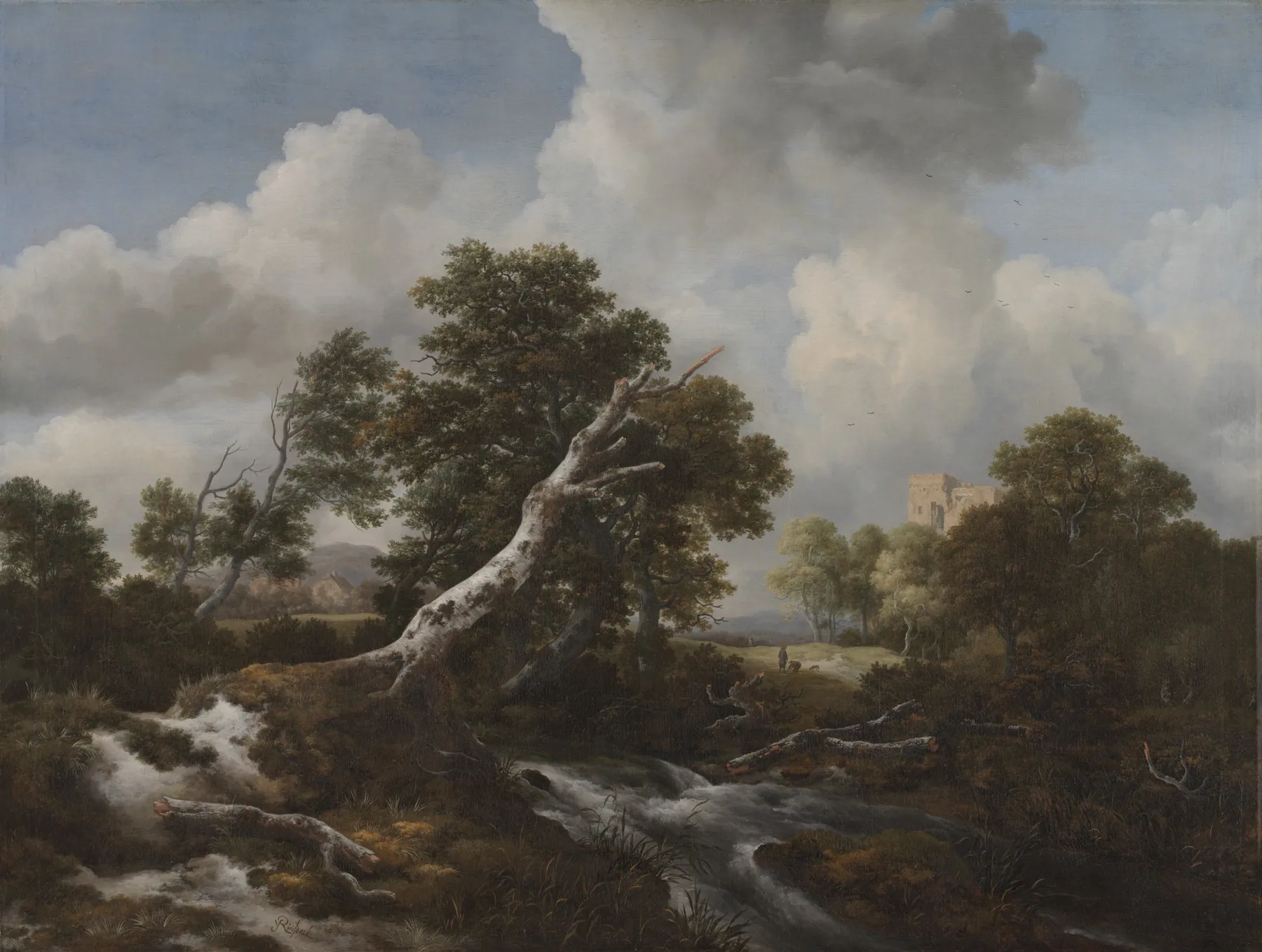 Pequeña cascada en un paisaje boscoso con una haya muerta, de Jacob van Ruisdael