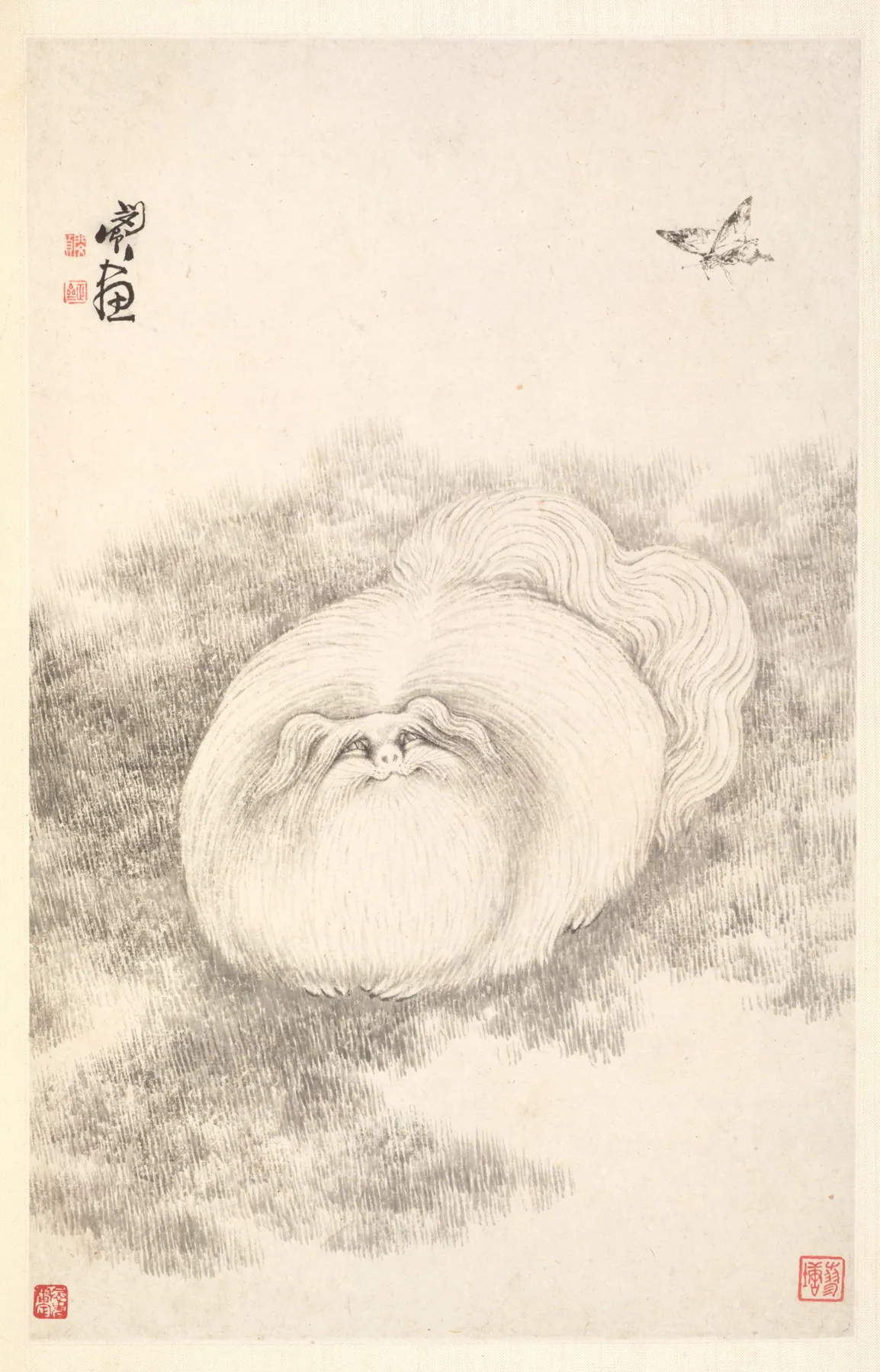 Gato y mariposa, de Min Zhen