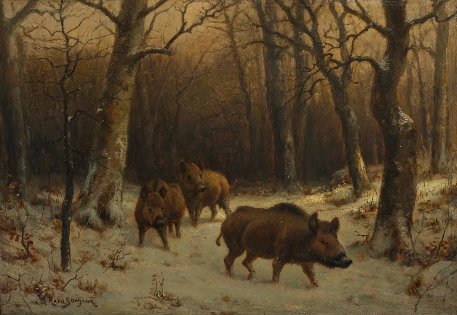 Jabalíes salvajes en la nieve, de Rosa Bonheur