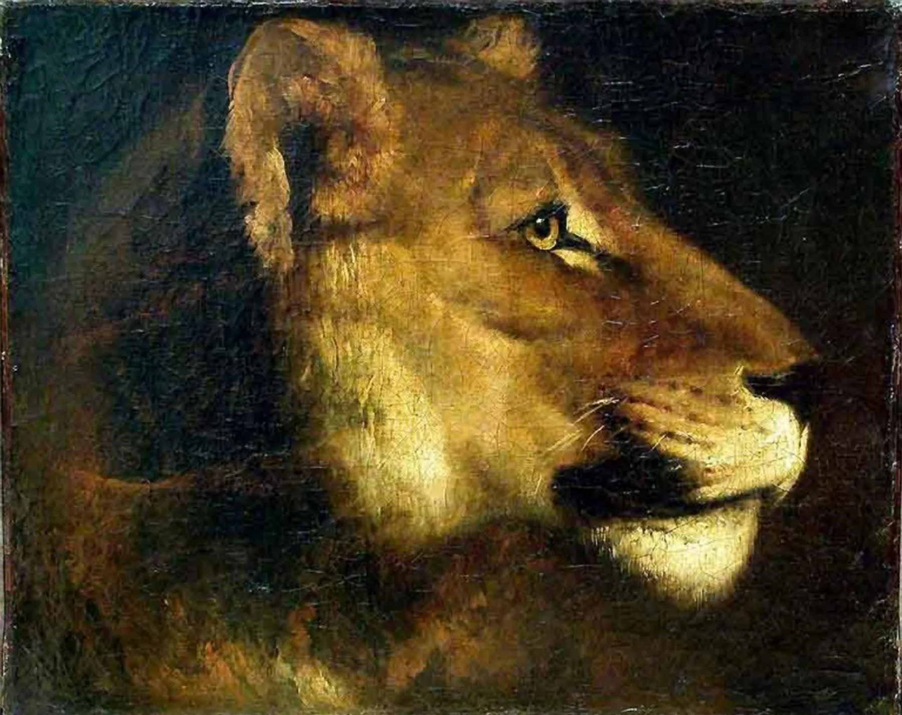 Cabeza de leona, de Théodore Géricault