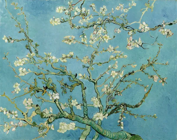 Almendro en flor, de Vincent van Gogh