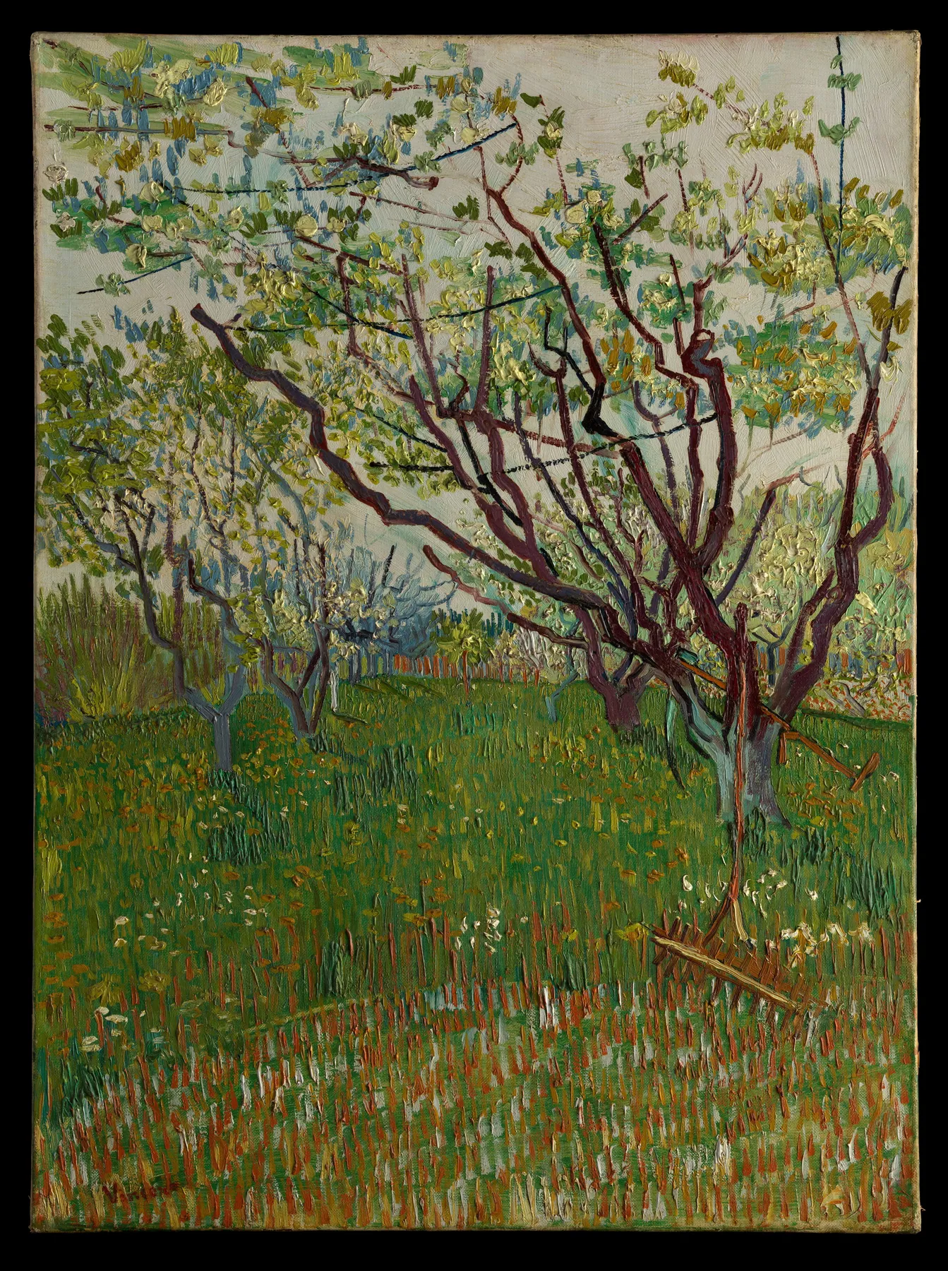 El huerto en flor, de Vincent van Gogh