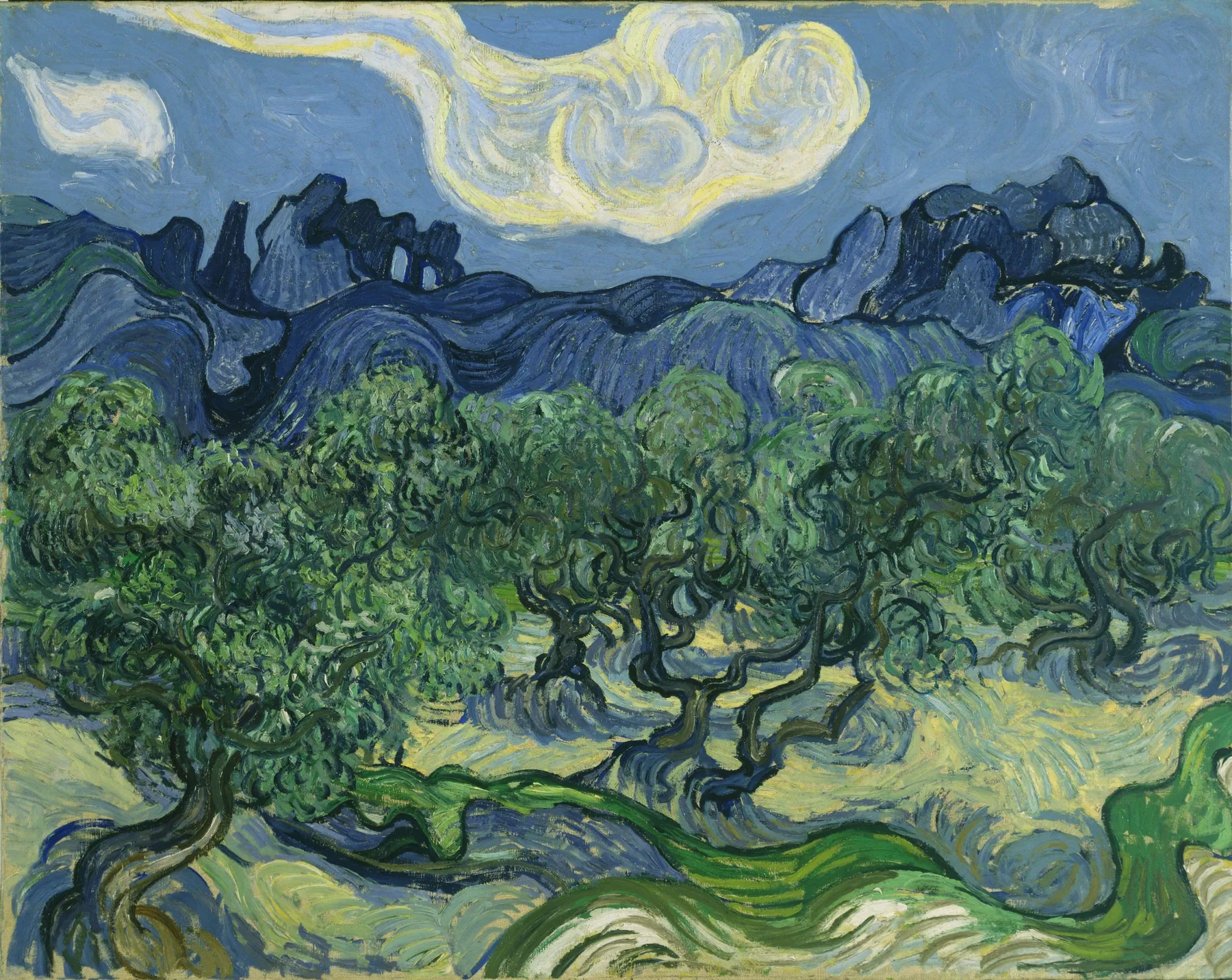 Los olivares, de Vincent van Gogh