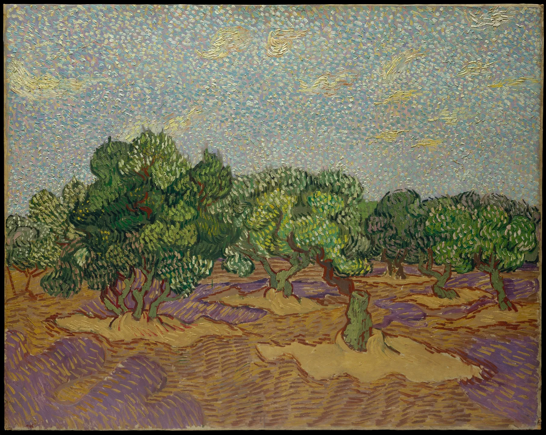 Olivos, de Vincent van Gogh