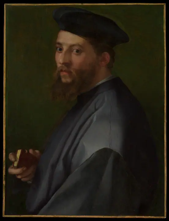 Retrato de un hombre, Andrea del Sarto