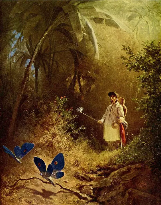 El cazador de mariposas, Carl Spitzweg