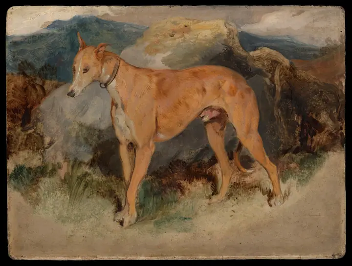 Un lebrel escocés, Edwin Landseer