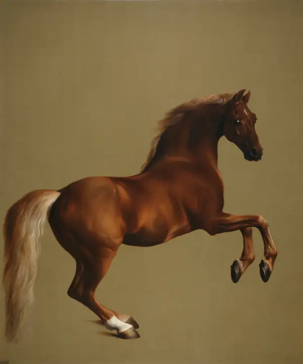 Whistlejacket, George Stubbs