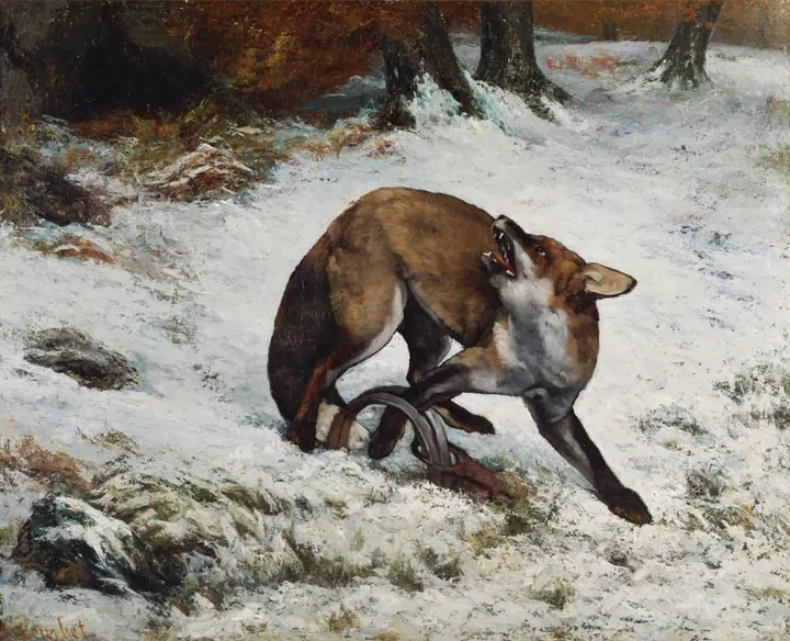 Zorro atrapado, Gustave Courbet