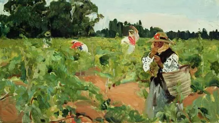 La vendimia, Jerez, Joaquín Sorolla