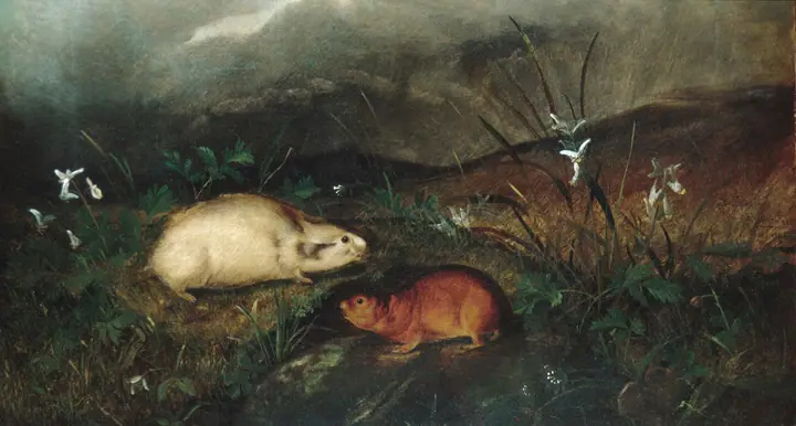 Lemming de la bahía de Hudson, John Woodhouse Audubon