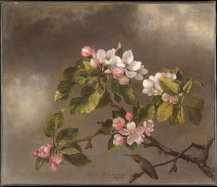 Colibrí y flores de manzano, Martin Johnson Heade
