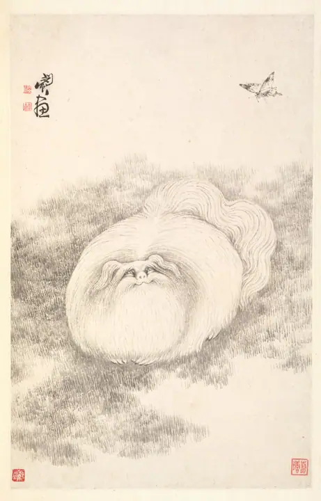 Gato y mariposa, Min Zhen