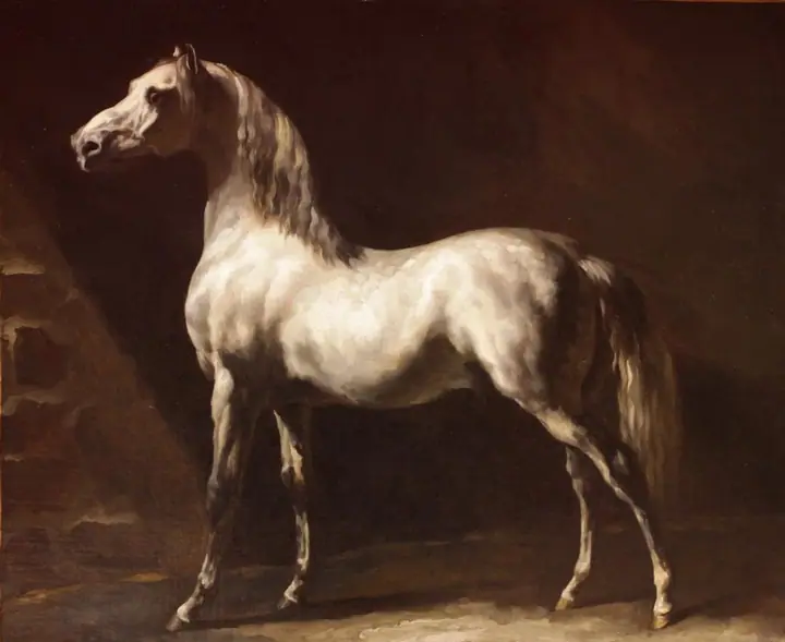Estudio de caballos grises, Théodore Géricault
